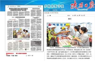 AG旗舰厅西北集团珑樾府项目高温慰问——《陕西日报》